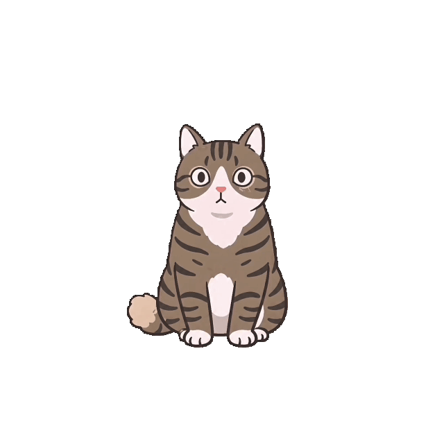 猫咪